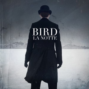Bird - 