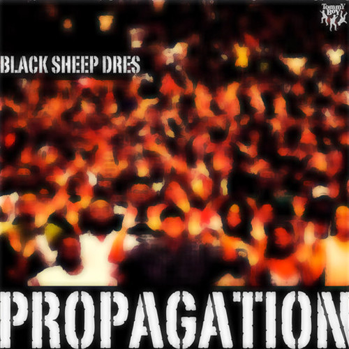 Black Sheep Dres - 